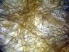 without_zeiss_310x_magnification (1).JPG